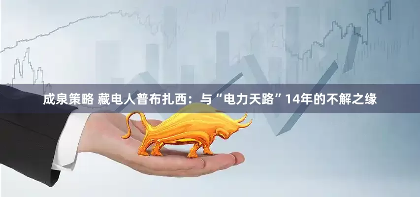 成泉策略 藏电人普布扎西：与“电力天路”14年的不解之缘