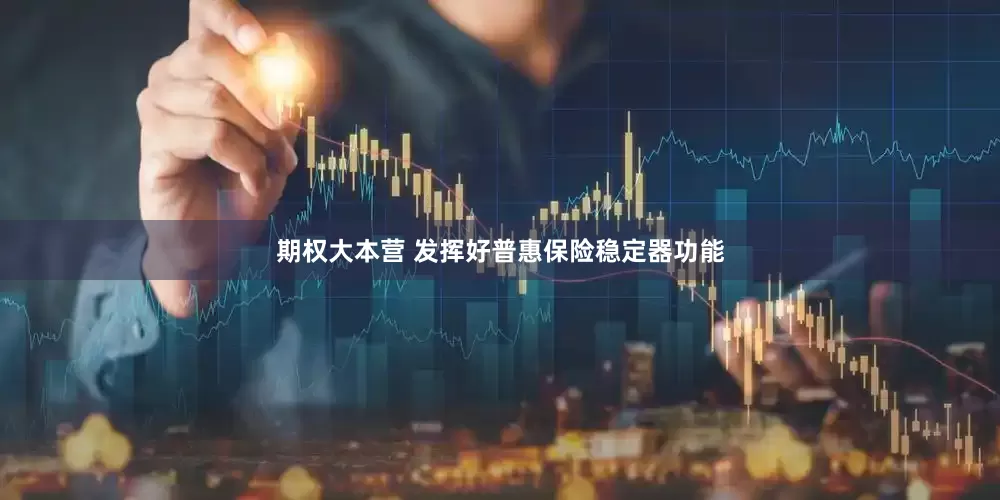 期权大本营 发挥好普惠保险稳定器功能