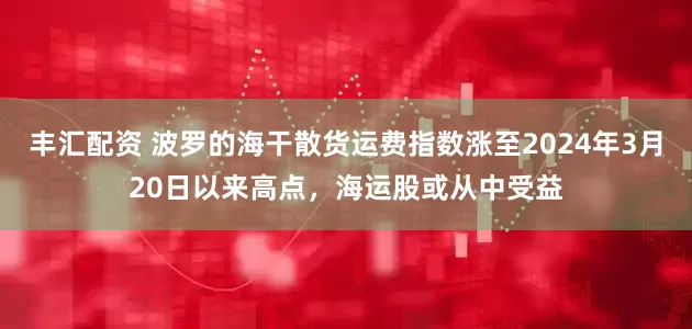 丰汇配资 波罗的海干散货运费指数涨至2024年3月20日以来高点，海运股或从中受益