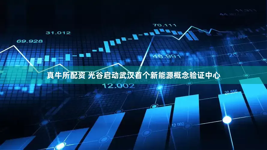 真牛所配资 光谷启动武汉首个新能源概念验证中心
