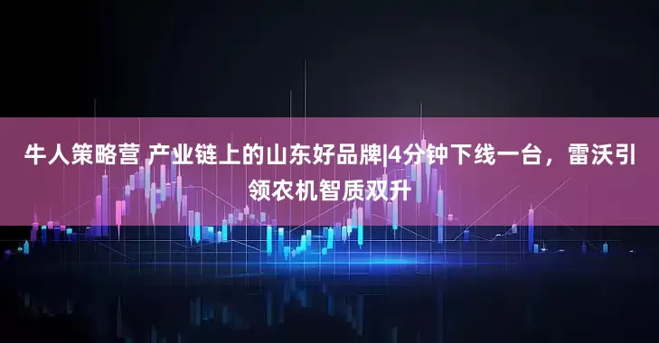 牛人策略营 产业链上的山东好品牌|4分钟下线一台，雷沃引领农机智质双升