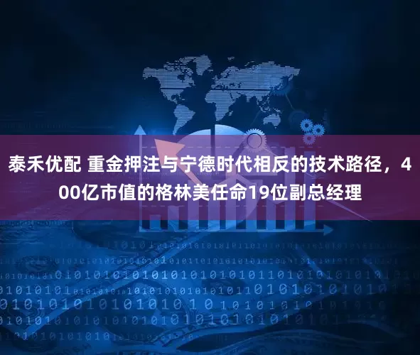 泰禾优配 重金押注与宁德时代相反的技术路径，400亿市值的格林美任命19位副总经理