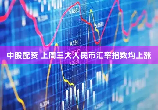 中股配资 上周三大人民币汇率指数均上涨
